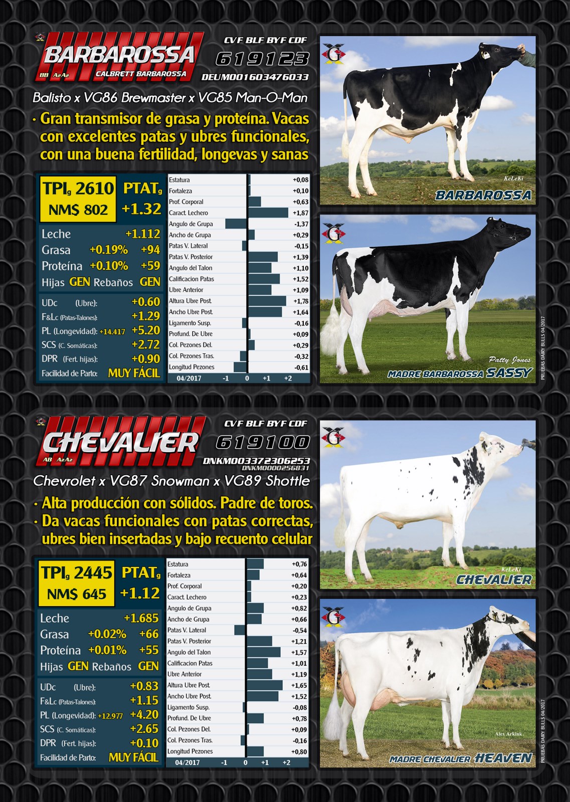 BAS&middot;GGI - Toros USA 2017